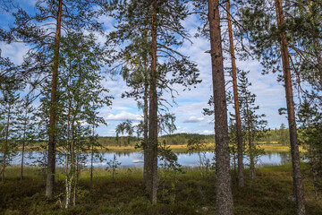 Northern nature. Panorama of the forest. Lake, forest, river. Beautiful landscape with lake and forest. Sunset and sunrise. Reflection of the forest in the water.