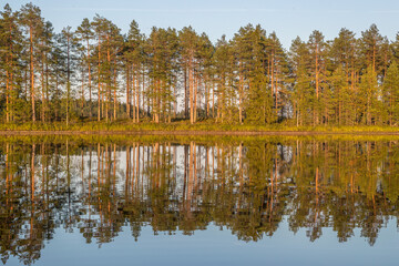 Northern nature. Panorama of the forest. Lake, forest, river. Beautiful landscape with lake and forest. Sunset and sunrise. Reflection of the forest in the water.