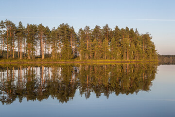 Northern nature. Panorama of the forest. Lake, forest, river. Beautiful landscape with lake and forest. Sunset and sunrise. Reflection of the forest in the water.