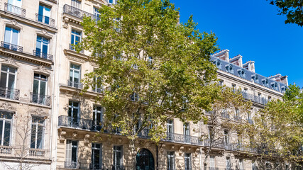 Naklejka premium Paris, typical building boulevard Haussmann, in a luxury district 
