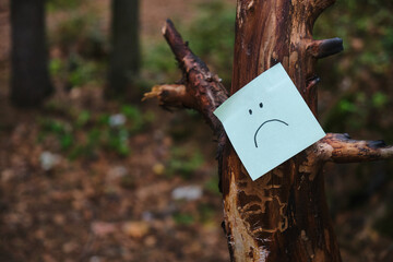 sad emoticon on a sticker glued to an old tree in the forest. get lost in the woods, help those lost in woods