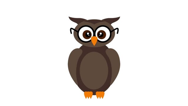 Funny cartoon owl getting dressed as a graduated university student hd animation.