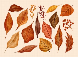 Hand painted autumn leaf in watercolor illustration set