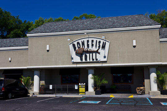 Bonefish Grill. Bonefish is a division of Bloomin' Brands
