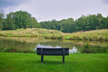 Bench in the park, beautiful nature view, background
