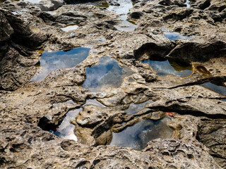 Tidepools in sandstone, Botanical Beach, BC, Canada