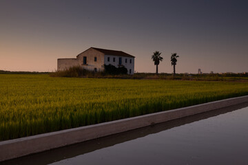 Albufera, Valencia lagoon in Spain. Close to sunset time with an impressive cloudy sky and beautiful colors.