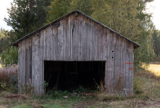 Abonded shed