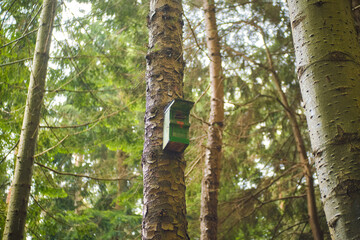 Fototapeta premium Bird house, bird-box on tree