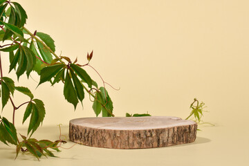 A stage with a showcase made of natural wood. The podium for the presentation of goods and...