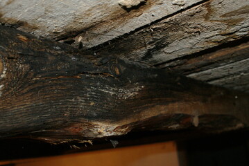 Leaky roof and rotten wooden rafters. - obrazy, fototapety, plakaty