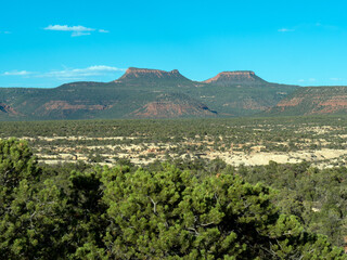 Landscape view of sacred Native American landmark Bears Ears National Monument in southern Utah