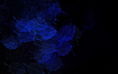 Dark Blue, Yellow vector doodle backdrop with leaves.