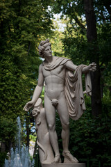 Fototapeta premium Marble statue of Apollo Belvedere in Summer Garden, Saint Petersburg, Russia