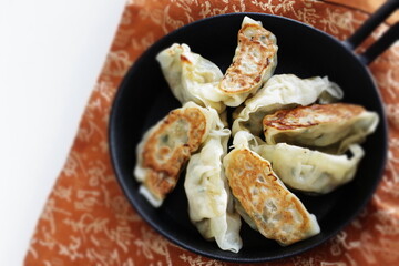 Homemade Japanese style Jaozi in pan for lunch