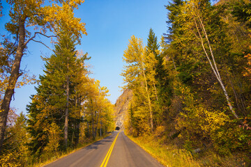 Naklejka premium Fall foliage on the Going-to-the-Sun road, Glacier National Park, Montana 