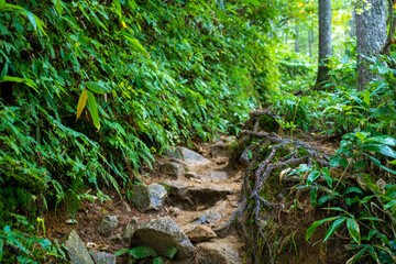 長野県安曇野市にある燕岳を登山する風景 A view of climbing Mt. Tsubame in Azumino City, Nagano Prefecture. 