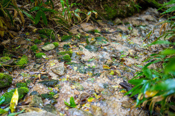 長野県安曇野市にある燕岳を登山する風景 A view of climbing Mt. Tsubame in Azumino City, Nagano Prefecture. 