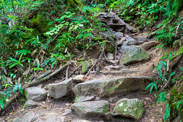 長野県安曇野市にある燕岳を登山する風景 A view of climbing Mt. Tsubame in Azumino City, Nagano Prefecture. 
