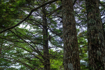 長野県安曇野市にある燕岳を登山する風景 A view of climbing Mt. Tsubame in Azumino City, Nagano Prefecture. 