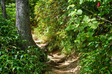 長野県安曇野市にある燕岳を登山する風景 A view of climbing Mt. Tsubame in Azumino City, Nagano Prefecture. 