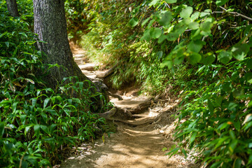 長野県安曇野市にある燕岳を登山する風景 A view of climbing Mt. Tsubame in Azumino City, Nagano Prefecture. 