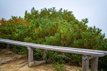 Fototapeta premium 長野県安曇野市にある燕岳を登山する風景 A view of climbing Mt. Tsubame in Azumino City, Nagano Prefecture. 