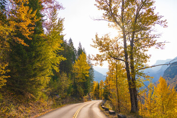 Obraz premium Fall foliage at Glacier National Park, Montana, USA