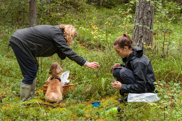Stockholm, Sweden  A  mother and daughter enjoy a tea rest in the woods after picking mushrroms with a bichpoo dog.