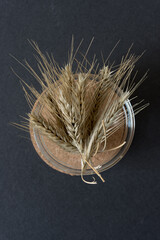wild grass with wheat-like seed heads inside a clear glass bowl on a cork coaster on a dark gray paper background