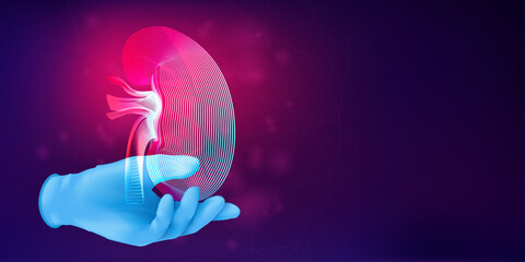 Silhouette of a human kidney on a realistic rubber glove. 3D medical concept with the contour of a human organ on abstract background. Vector illustration in neon line art style