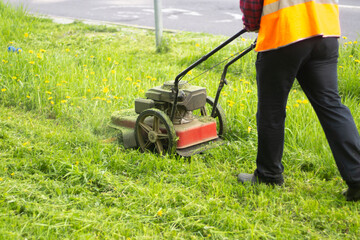 Mowing the lawn. The gardener mows the grass.