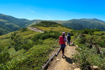 Obraz premium 日本の百名山の薬師岳の登山道