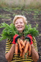 happy elderly woman showing her carrot harvest