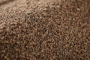 close up on a pile of dried Celery Seed