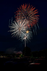 Fireworks Display Against Dark Sky