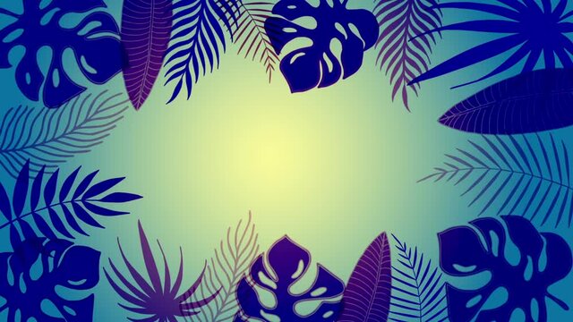 Colorful tropical leaves frame of palm tree and monstera leaves. Minimal motion design animation with space for text. 