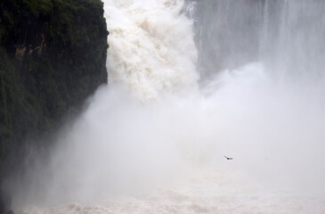 Power of Iguazu Falls Brazil