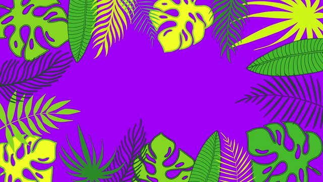 Colorful tropical leaves frame of palm tree and monstera leaves changing color on bright background. Minimal motion design animation with space for text.