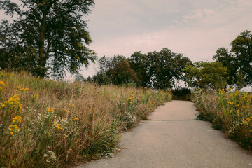 path in the park