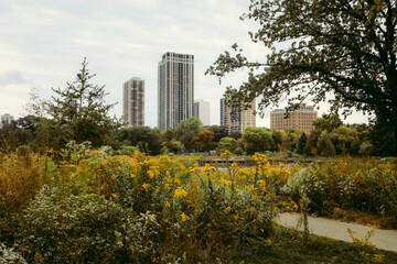 autumn in the city