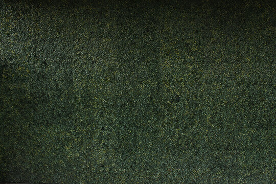 Pared de plantas