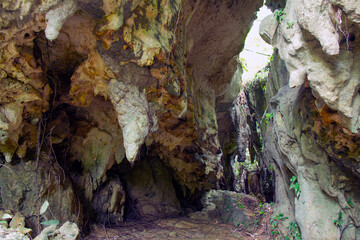 Cave on The Forest