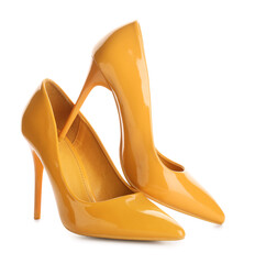 Stylish female shoes on white background