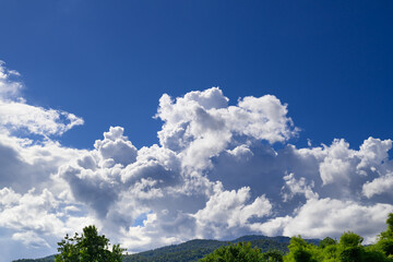 Obraz premium Blue sky with white cloud above the trees, Nature background