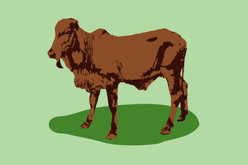 cow and calf vector illustrated 