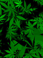 An abstract cannabis leaf pattern background image.