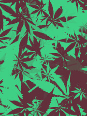 Fototapeta premium An abstract cannabis leaf pattern background image.