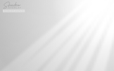 Realistic Shadow Overlay Background Design for Presentation with Soft Natural Lightning Effect. Vector Background Illustration.