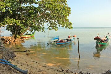 Obraz premium Traditional fishing boat on the beach with a tree in Karimun Jawa Indonesia